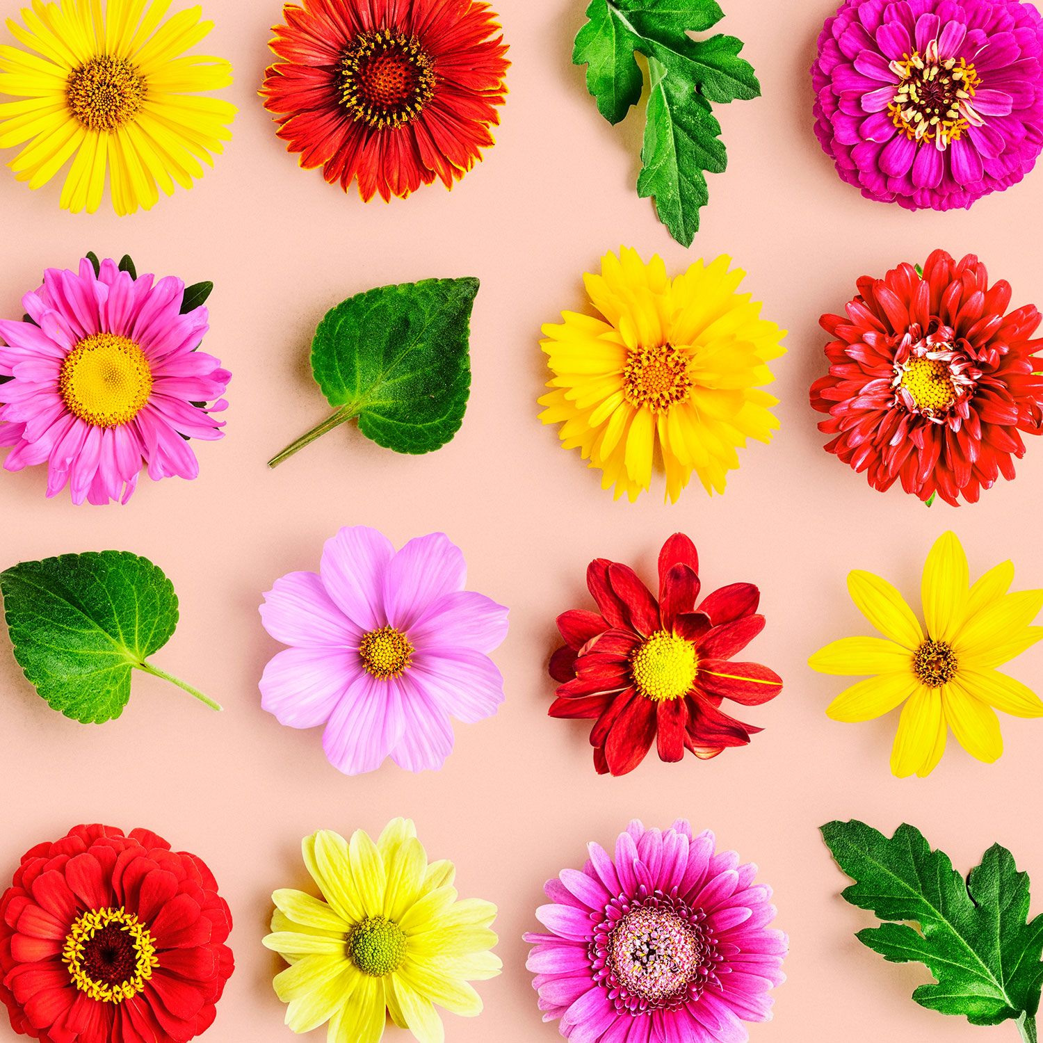 parfum fleurs d'été